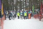 Финальные соревнования по лыжным гонкам