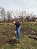 Сиреневая аллея победы