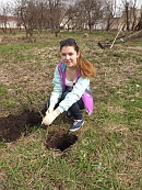 Сиреневая аллея победы