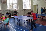 Настольный теннис
