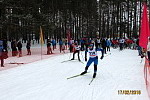 Финальные соревнования по лыжным гонкам