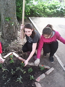 Экологический десант