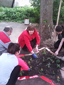 Экологический десант