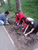 Экологический десант