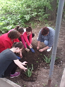 Экологический десант