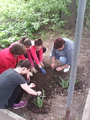 Экологический десант