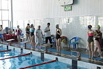 Финальные соревнования по плаванию