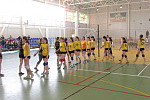 Зональные соревнования по волейболу среди девушек