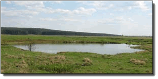 Светлое озеро