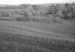 Низовские земли