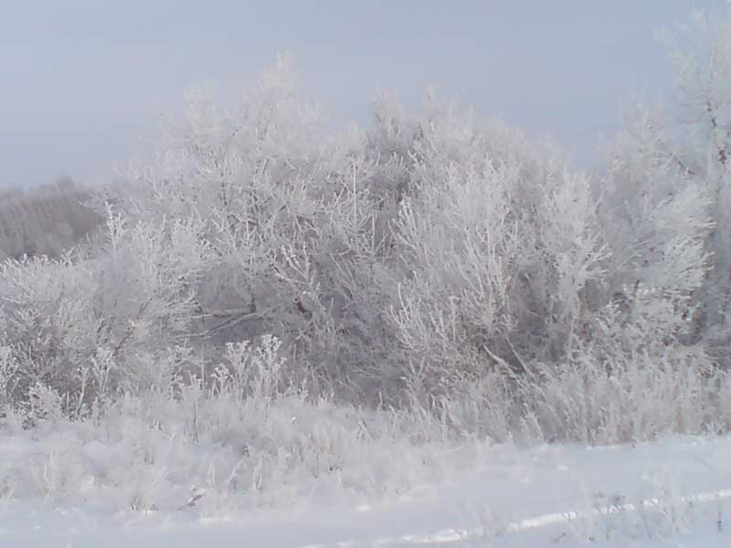 Зимний пейзаж