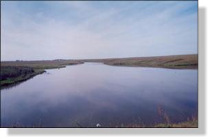 Пруд в овраге Вешкапойка