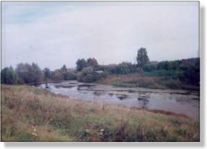 Пруд и овраге Гартлей