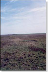 Покшлейбря