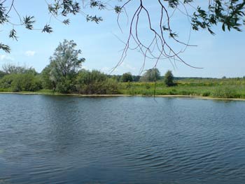 Колхозный пруд