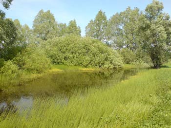 Сёмкань пруд