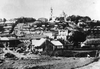 Вид на Лукоянов с южной стороны. Фотография А.В.Свешникова.