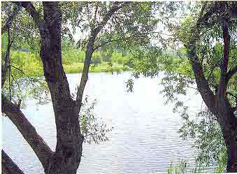 Барский пруд.jpg, 11 kB