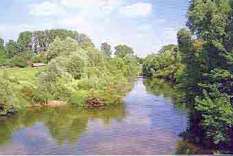 устье пруда.jpg, 23 kB