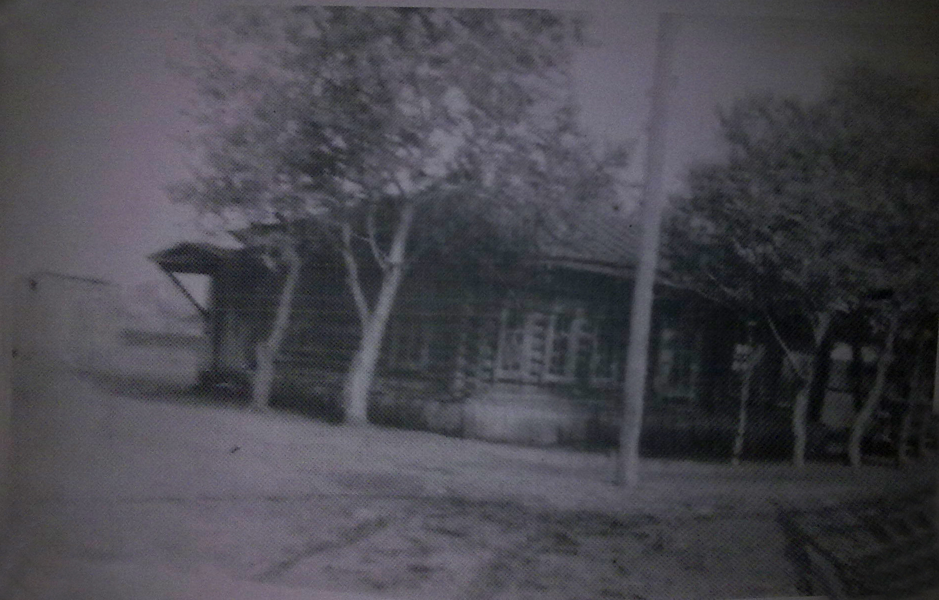 Первая школа