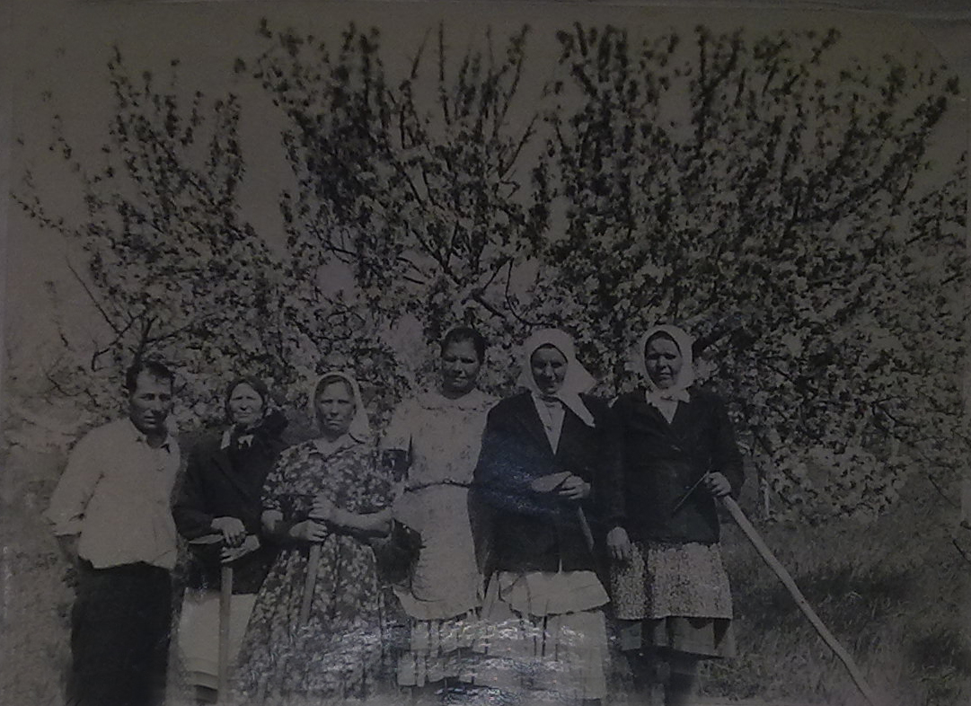 Огородная бригада