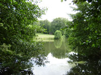 Сорокин пруд