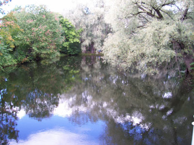 Пруд, фото Валова Н.А