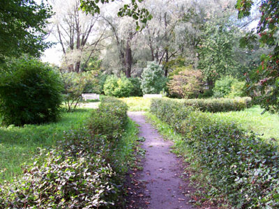 Аллея, фото Валова Н.А